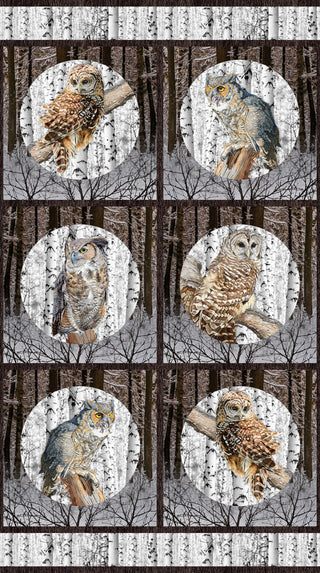 PANEL - Owls  •  Solitude Naturescapes for Northcott Studio