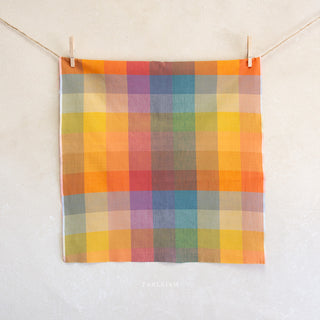 Bold Wide Happy Checkers | Lumière by Fableism Supply Co. (¼ Yard)