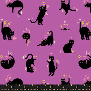 Witchy Catwalk | Freaky Familiars by Ruby Star Society (¼ Yard)