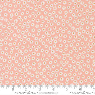 Blush Petal Power | True To Hue by Alli K Design (1/4 Yard) - Emmaline Bags Inc. - Fabric