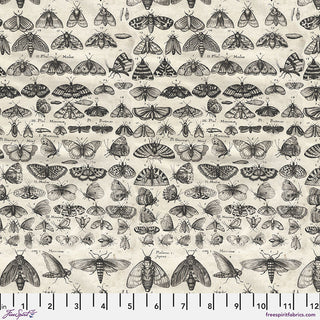 Charcoal Moths // Tim Holtz Eclectic Elements - Palette - (1/4 yard) - Emmaline Bags Inc. - Fabric