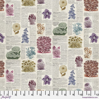 Multi Botany // Tim Holtz Eclectic Elements - Palette - (1/4 yard) - Emmaline Bags Inc. - Fabric