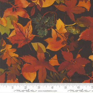 Night Sky Fallen | Northern Brights for Moda (¼ Yard) - Emmaline Bags Inc. - Fabric