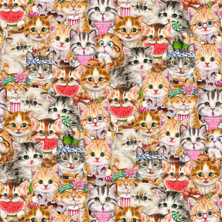 Packed Cats // Instagram Famous by Kayomi Harai (1/4 yard) - Emmaline Bags Inc.