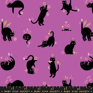 Witchy Catwalk | Freaky Familiars by Ruby Star Society (¼ Yard) - Emmaline Bags Inc.-Fabric
