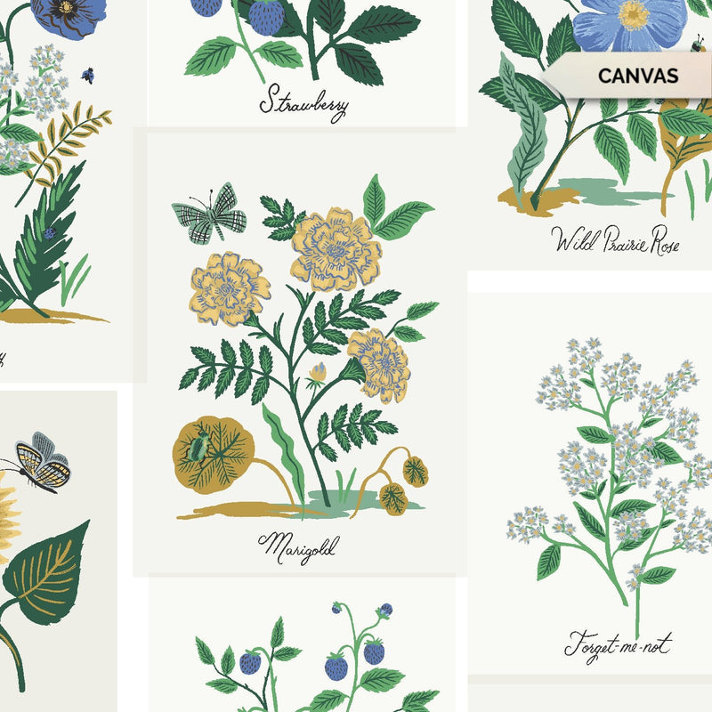 Botanical Prints - Blue Multi - Canvas • Curio by Rifle Paper for Cotton & Steel (1/4 yard) - Emmaline Bags Inc.