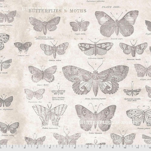 Butterflies - Parchment // Monochrome by Tim Holtz Eclectic Elements - (1/4 yard) - Emmaline Bags Inc.
